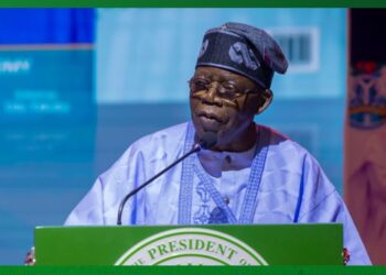 President Tinubu Approves Membership for US – Nigeria Working Group