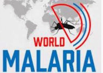 Dangote Calls for Urgent Government and Private Sector Action to Eliminate Malaria