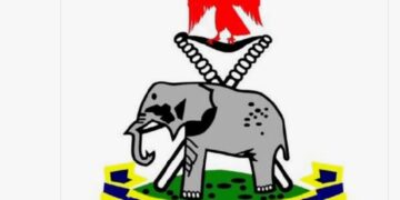 IGP Tunji Disu Orders Nationwide Arms and Ammunition Audit Across all Police Commands