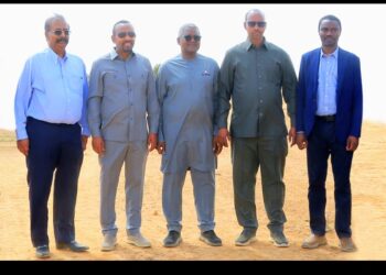 Fertilizer Plants: Dangote Vows to Ensure Food Security in Africa