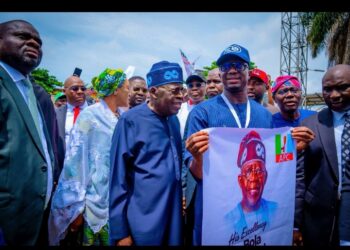 APC PRIMARIES DEMONSTRATE INTERNAL DEMOCRACY, DEEPEN GRASSROOT POLITICS, Says President Tinubu