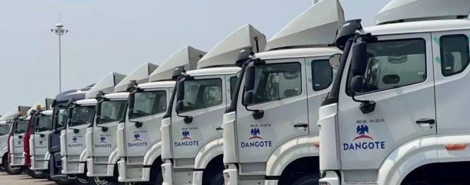 Dangote Cracks Down on Illegal Haulage, Offers N500,000 Reward for Whistleblowers